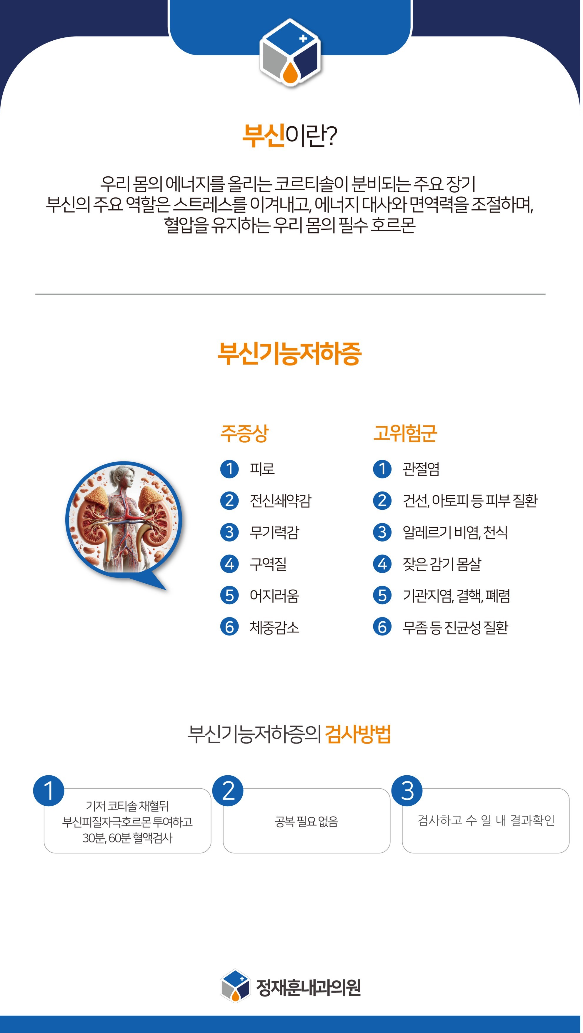 부신피질 글씨체1.jpg